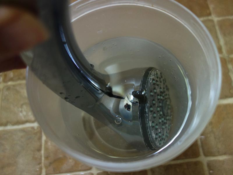 How to Clean a Shower Head