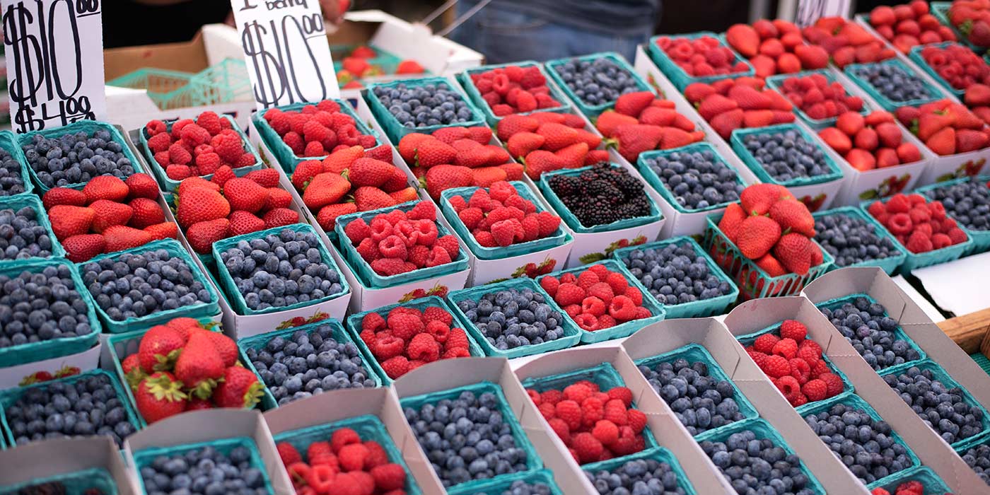 Larchmont Farmer's Market, LA | Curious Nut